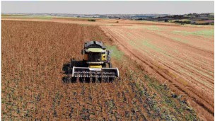 Pace of increase in agricultural input prices slows