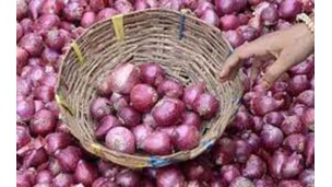Myanmar striving for onion exports to Philippines through G-to-G pact