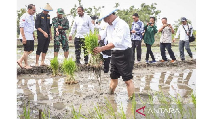 စားနပ်ရိက္ခာအသိုက်အဝန်းအစီအစဉ်ကို အရှိန်အဟုန်မြှင့်တင်ရန် လိုအပ်ကြောင်း စိုက်ပျိုးရေးဝန်ကြီးပြောကြား