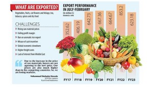 Agri export suffers sharpest decline in 7 years