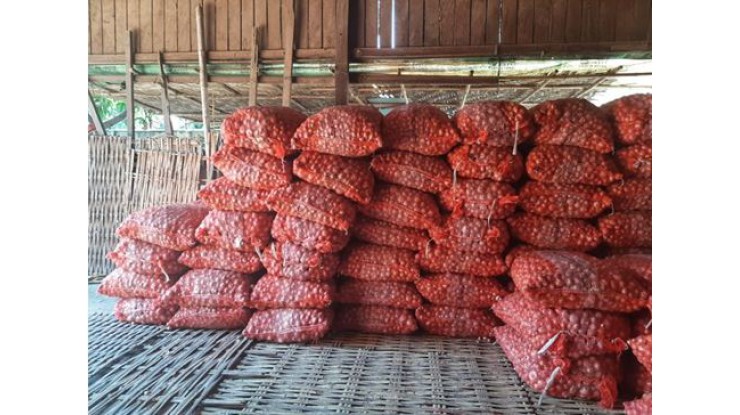 Onion prices in Yangon market remain high unlike other regions