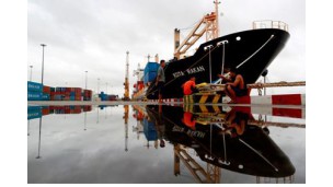 China's exports to North Korea more than double in Jan-Feb on agricultural shipments