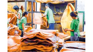 Myanmar ships 75% of rubber production to China
