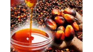 Wholesale price of palm oil soars despite import of 30,000 tonnes