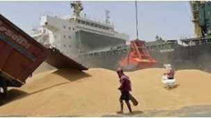 Wheat crop in good condition; govt procurement to be normal