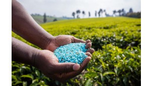 Peru agriculture amongst those hurt in Russia fertilizer export sanctions