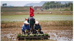 N. Korea wants more control over farming amid food shortage