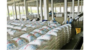 MRPP to sell fertilizers at fairer prices for summer paddy