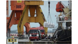 Myanmar bags over US$15 mln in rice exports on 11-17 Feb