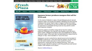 Japanese farmer produces mangoes that sell for $230 each