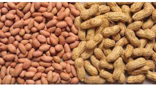 Peanut prices head for three-week high on strong demand