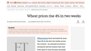 Wheat prices rise 4% in two weeks