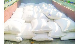 Fresh Pawsanyin rice starts to enter market