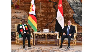 Egypt, Zimbabwe agree to boost cooperation in agriculture, infrastructure