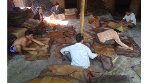 Rubber prices on decline in end-Oct
