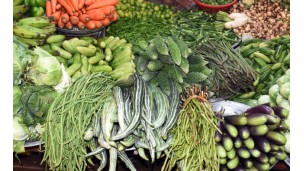 Rajshahi experts for vegetable preservation to prevent wastage 