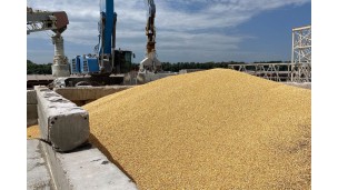 Government announces new export rules for agricultural products