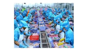 Myanmar earns US$40 mln from fishery product exports