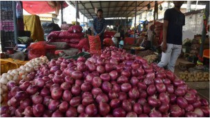 India: Onion exports up 64% in FY23