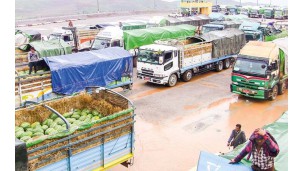Myanmar-Thailand’s Mawtaung border exports most fruits in May