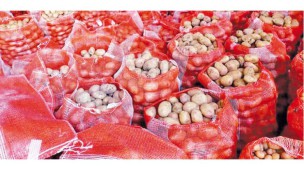 Potato  Price surge in Yangon Market