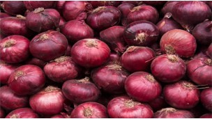High demand for Egyptian onions drives up prices