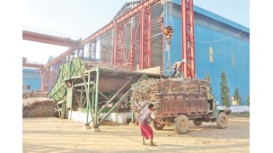 Sugar mills to set offering price of sugarcane higher at K120,000 per tonne in upcoming 2023-2024 season
