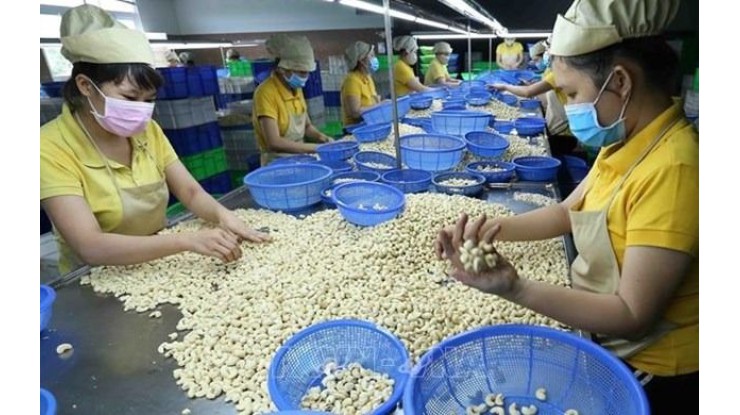ဗီယက်နမ်၏ လယ်ယာထွက်ကုန် တင်ပို့မှုဝင်ငွေ စံချိန်သစ်တင်ခဲ့