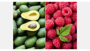 Mexican growers see increased exports of berries and avocados