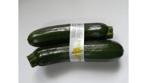 Italian organic courgettes 2023/24 campaign: less quantity but higher quality