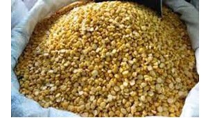 ﻿Chickpea prices rebound during post-Thingyan holidays