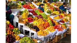 Agri exports Peru projected to surpass US$11.500 billion by the end of 2024