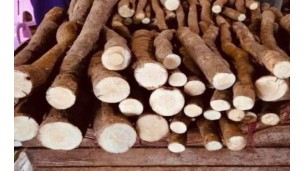 Gonkha price falls due to supply surge when trade remains stable