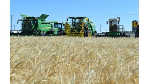 China changes tariff rules for Kazakh wheat, causing an export halt
