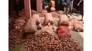 India resumes agricultural exports to Bangladesh as border-trade points open