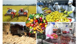 Vietnam’s export of agricultural products will continue facing many challenges due to changes in countries, according to experts.