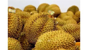 Vietnam agricultural product exports poised for record-breaking year