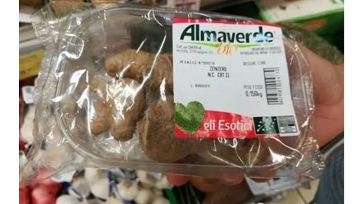 Ginger continues to attract interest in Italy