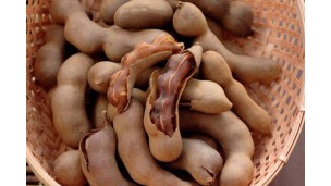 New tamarind prices fetch higher price than old stocks