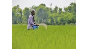 Fertilizer prices unchanged for November and December