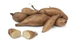 Consumption of medicinal yacon increases