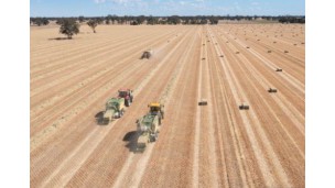 Tariffs Axed For Aussie Farmers Exporting To UAE