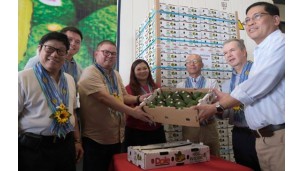 Philippines becomes first Asian country to export hass avocados to Japan
