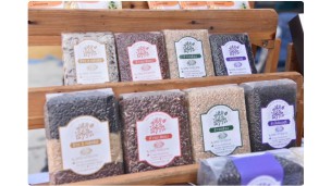 Farm exports surge amid free trade deals