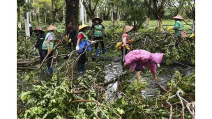 Typhoon impacts on agriculture in Vietnam's north