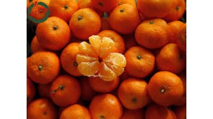 Turkey sets export dates for satsuma mandarins