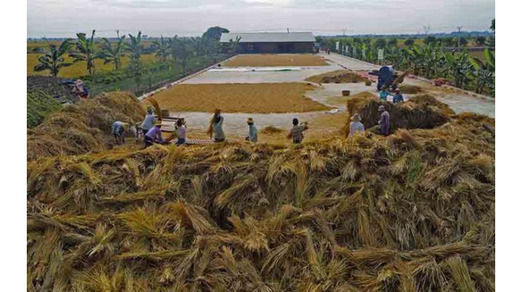 စပါးရည်ညွှန်းဈေးနှုန်း တင်း (၁၀၀)လျှင် (၉၆၀,၀၀၀)ကျပ် သတ်မှတ်ထား