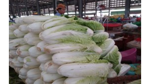 Vegetable trucks continuously enter Danyingone market as water recedes and roads reopen