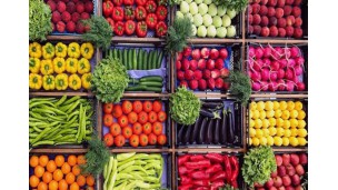 Iran reports major rise in agriculture exports in 5 months