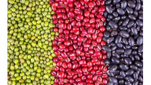 Red kidney bean price jumps to K4.5 mln per tonne on foreign demand	